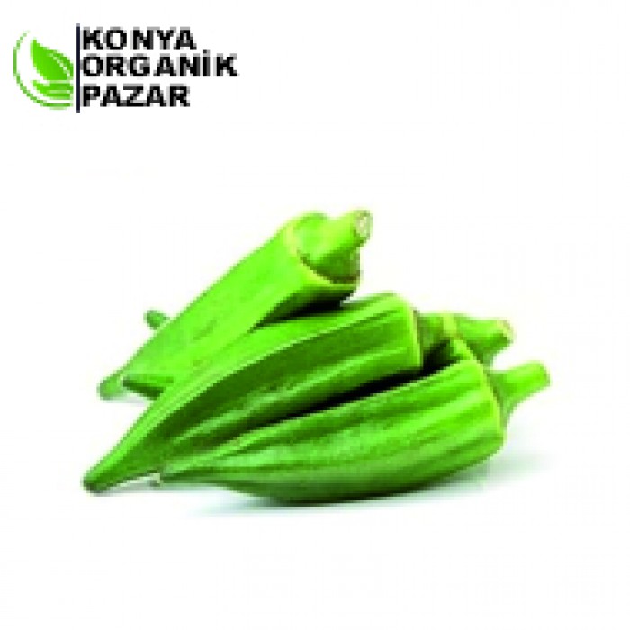 Organik Bamya (500 gr)